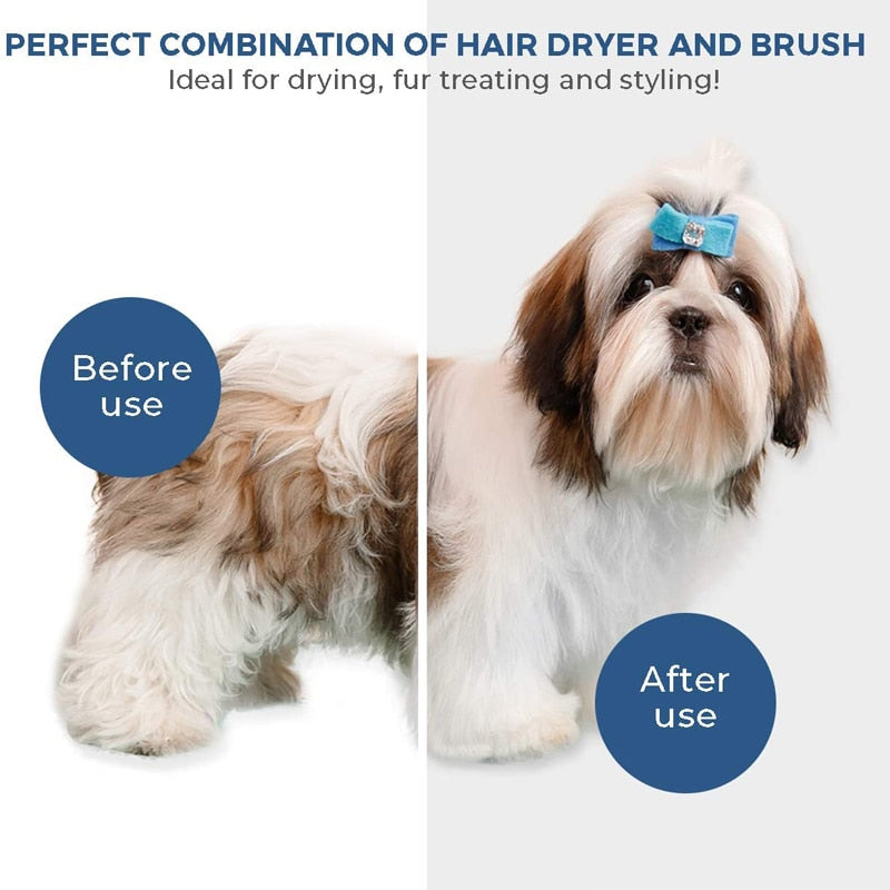 Dryer Power- Pet Hair Dryer