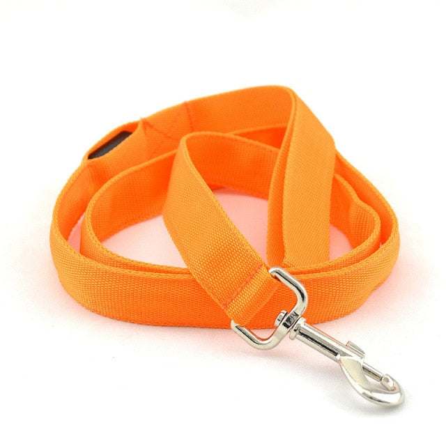 Leash Bryte- Reflective LED Dog Leash