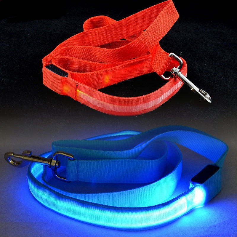 Leash Bryte- Reflective LED Dog Leash