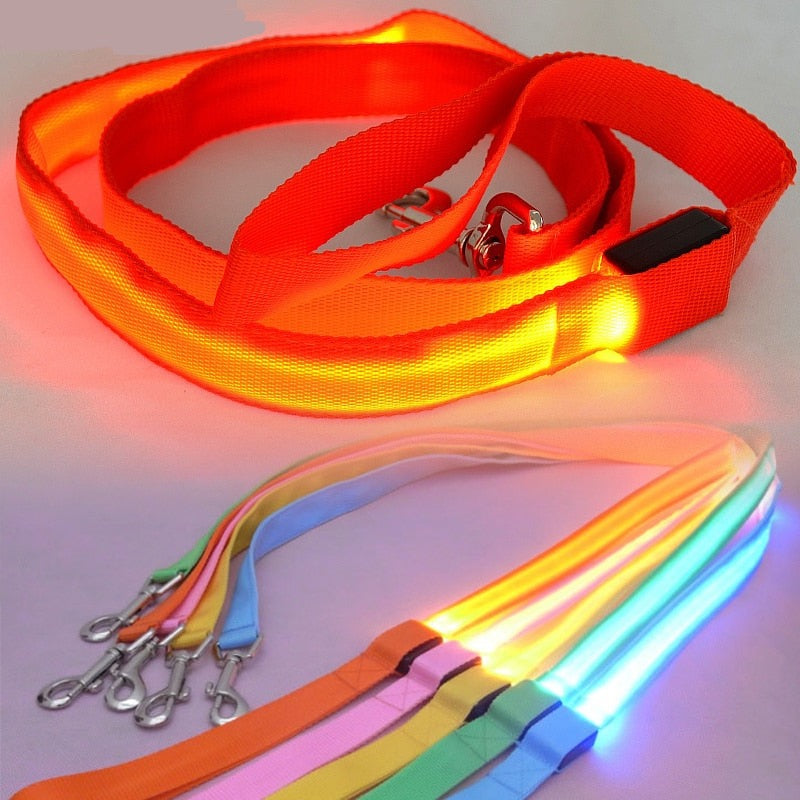 Leash Bryte- Reflective LED Dog Leash