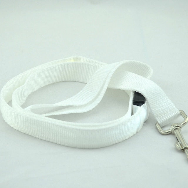 Leash Bryte- Reflective LED Dog Leash