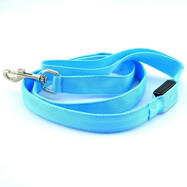 Leash Bryte- Reflective LED Dog Leash