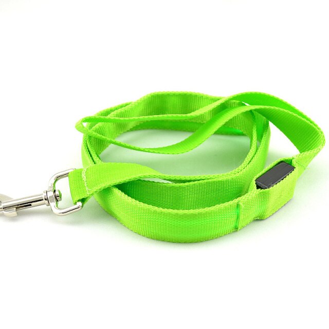 Leash Bryte- Reflective LED Dog Leash