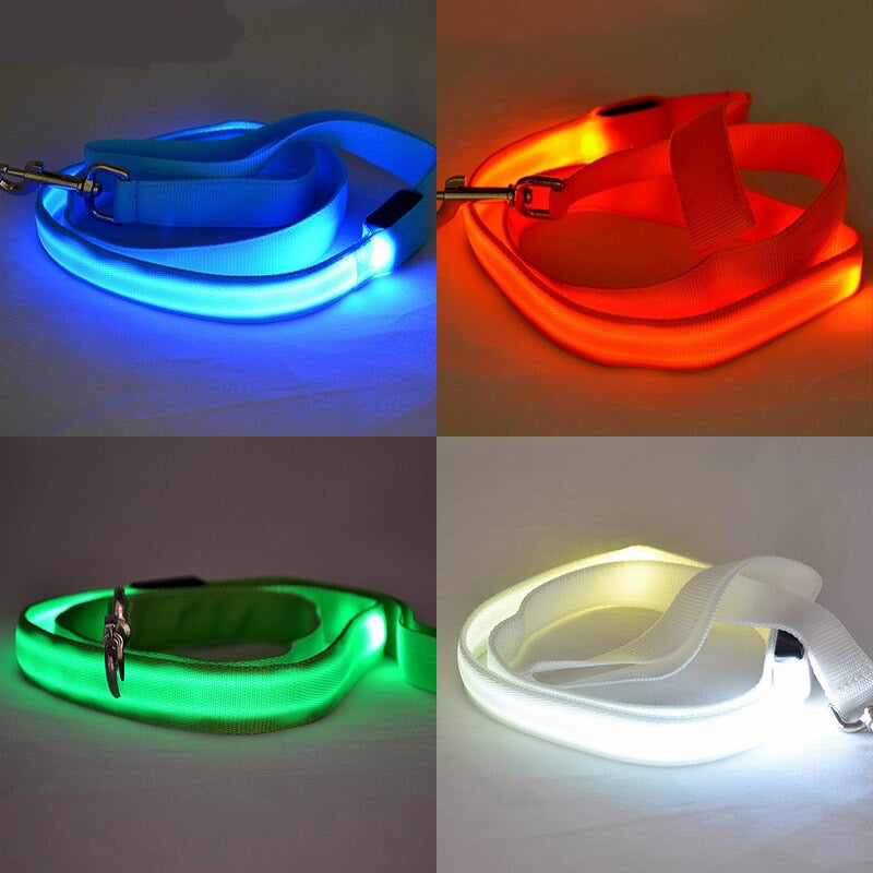 Leash Bryte- Reflective LED Dog Leash