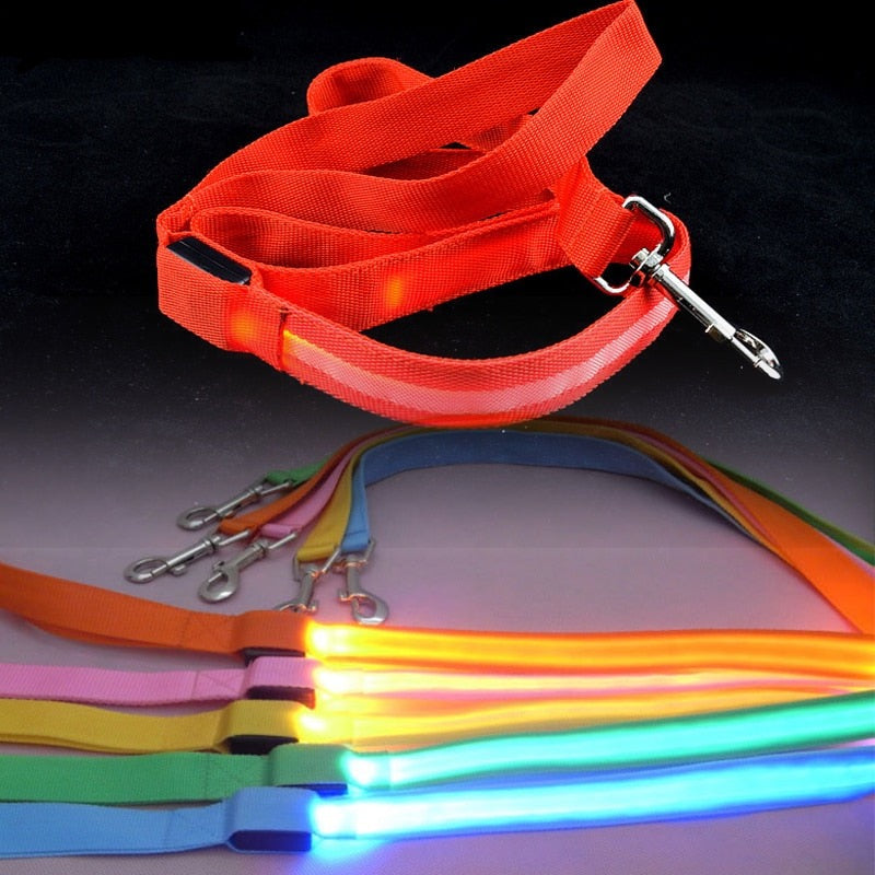 Leash Bryte- Reflective LED Dog Leash