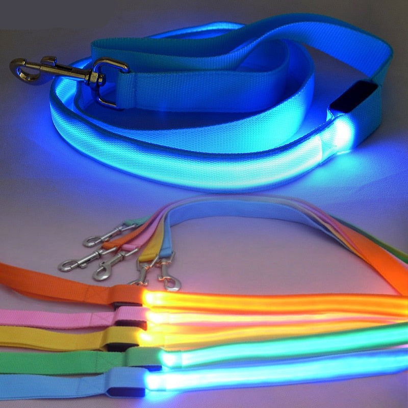 Leash Bryte- Reflective LED Dog Leash