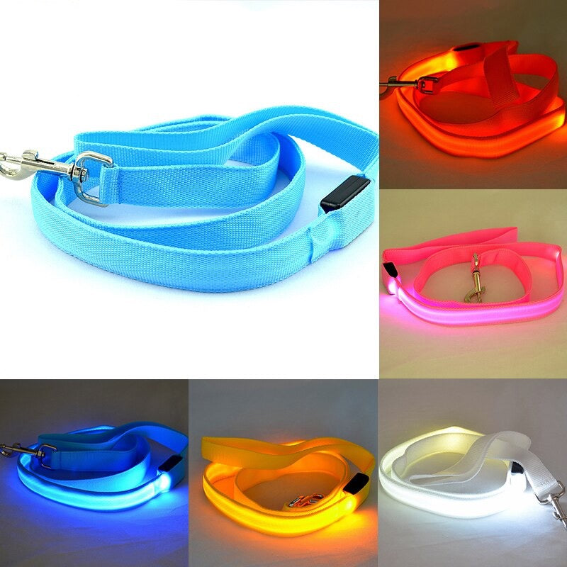 Leash Bryte- Reflective LED Dog Leash